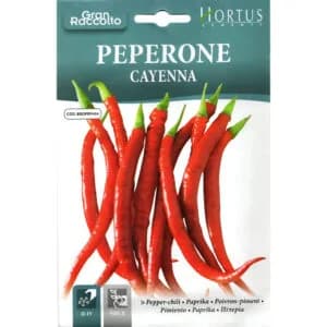 Cayenne Pepper Seeds (Capsicum annuum) 2.5gm
