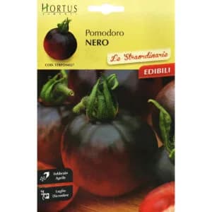 Black Tomato Seeds (Solanum lycopersicum 'Nero')