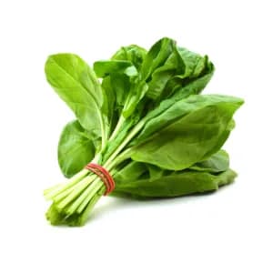 Spinach (Palak) Seeds